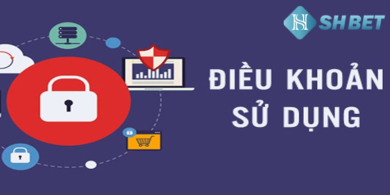 Tìm hiểu về điều kiện điều khoản tại nhà cái này