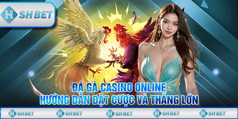 đá gà casino