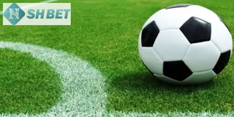 Hãy ghi nhớ các phương pháp chơi kèo cược đồng banh hiệu quả