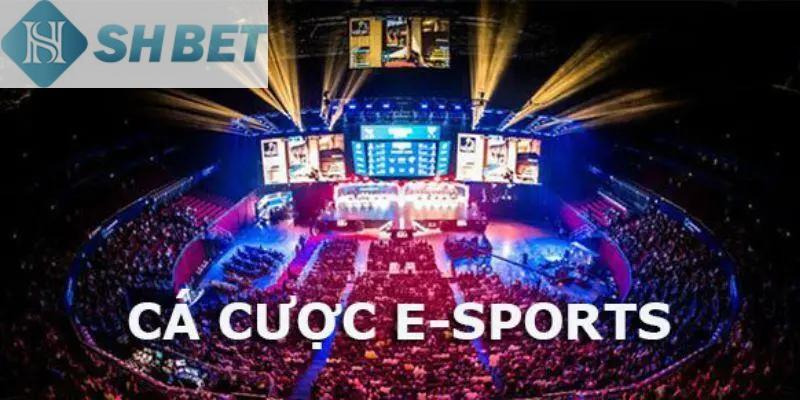 Các bước tham gia thể thao điện tử nhanh chóng, dễ làm