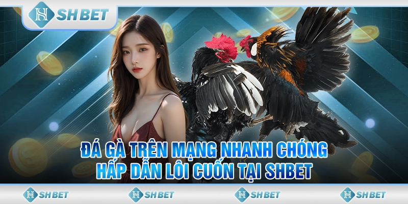 đá gà trên mạng
