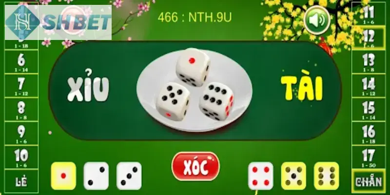 Hãy áp dụng bí quyết, mẹo chơi tài xỉu xí ngầu hiệu quả mỗi ngày