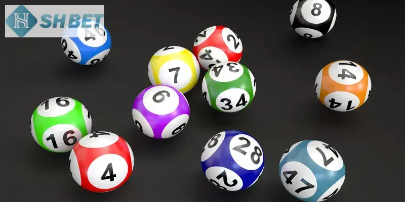 Nhiều người thắc mắc có nên nuôi lô không hiện nay