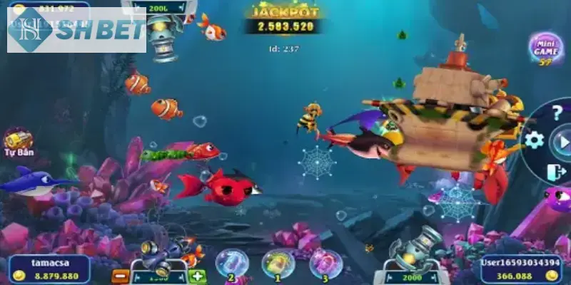 Thưởng cực khủng cuối năm 2024