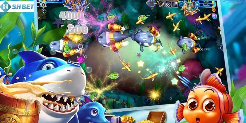 Quan sát kỹ càng đường đi của cá