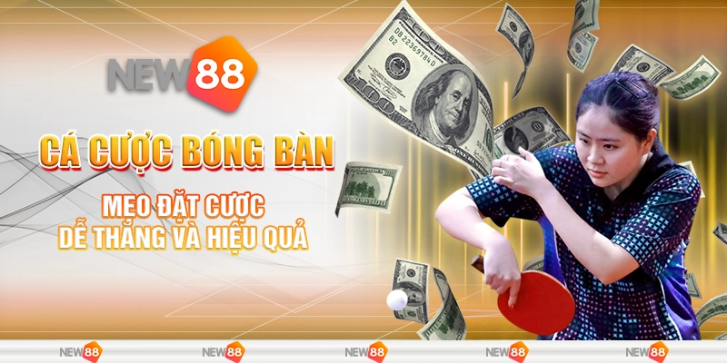 Cá Cược Bóng Bàn