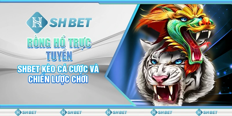 Rồng Hổ Trực Tuyến – SHBET Kèo Cá Cược Và Chiến Lược Chơi