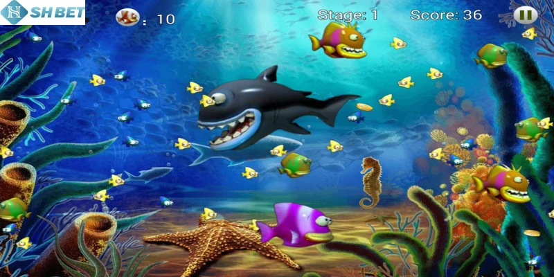 Những điểm hấp dẫn chỉ có ở săn cá lôi thần hiện nay