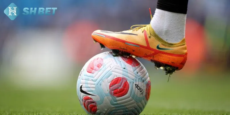 Chi tiết các bước tải ứng dụng cá độ mà bạn cần tham khảo