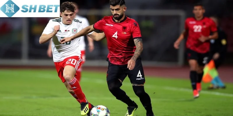 Người chơi chú ý thông tin về đội hình không rõ ràng