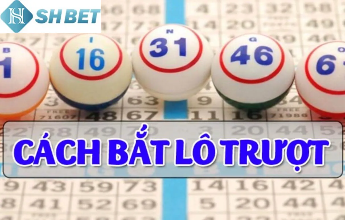 Người mới chơi nên áp dụng tuyệt chiêu soi cầu lô đề trượt hiệu quả nhất