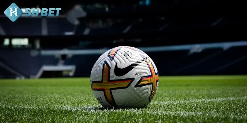 Những ưu điểm đặc biệt chỉ có tại ứng dụng cá cược tại SHBET