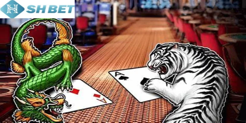 Làm theo chi tiết hướng dẫn cách chơi Rồng Hổ online