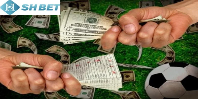 Trải nghiệm Thể thao trực tuyến không giới hạn mỗi ngày