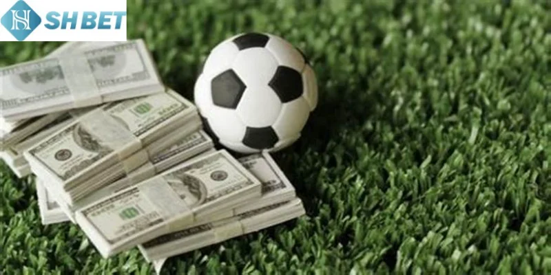 Thành viên mới hãy làm theo hướng dẫn tham gia thể thao online hiện nay