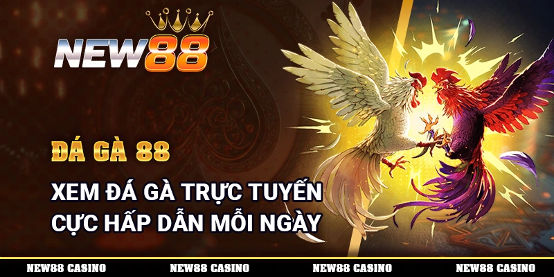 Đá Gà 88