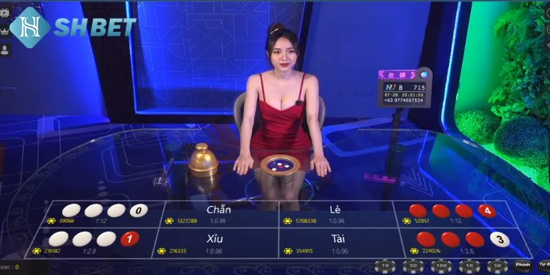 Điểm đặc biệt và cần lưu ý đến trong đánh xóc đĩa xanh chín tại nhà cái