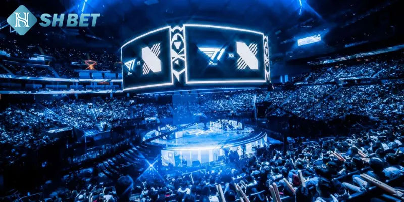 Tổng quan một số thông tin hữu ích về trang cá cược esport