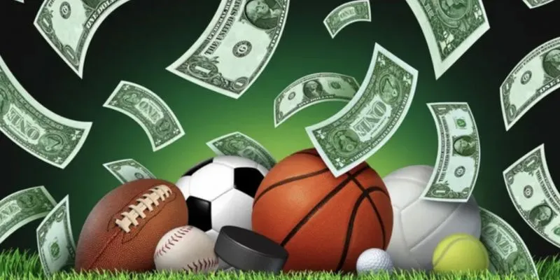 Khám phá các môn thể thao phù hợp 