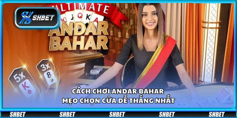 Cách chơi Andar Bahar - Mẹo chọn cửa dễ thắng nhất