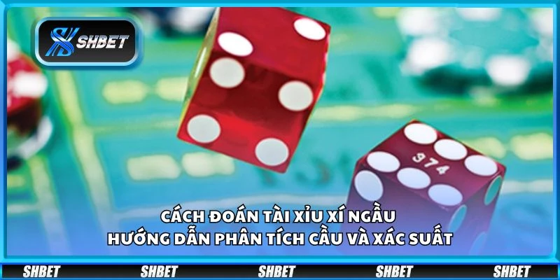 Cách đoán tài xỉu xí ngầu - Hướng dẫn phân tích cầu và xác suất