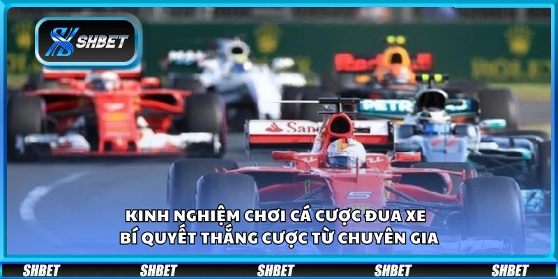 Kinh nghiệm chơi cá cược đua xe - Bí quyết thắng cược từ chuyên gia