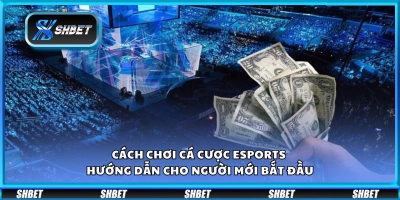 Cách chơi cá cược eSports - Hướng dẫn cho người mới bắt đầu
